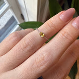 Cattina Ring - Oval Yellow Sapphire (4)