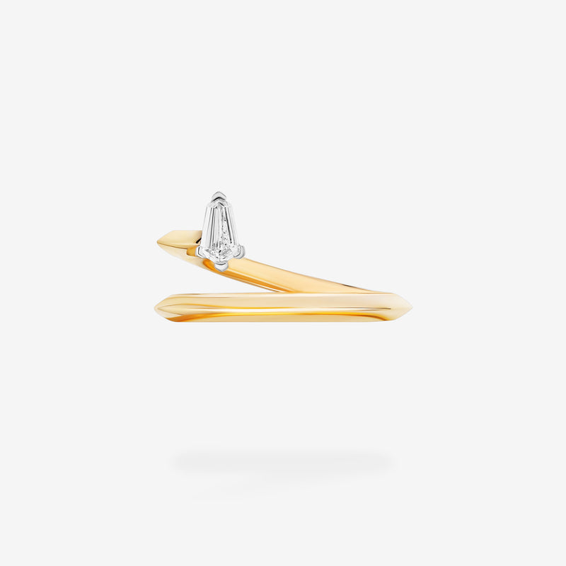 18K Yellow Gold & Platinum