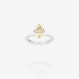 18K Yellow Gold & Platinum